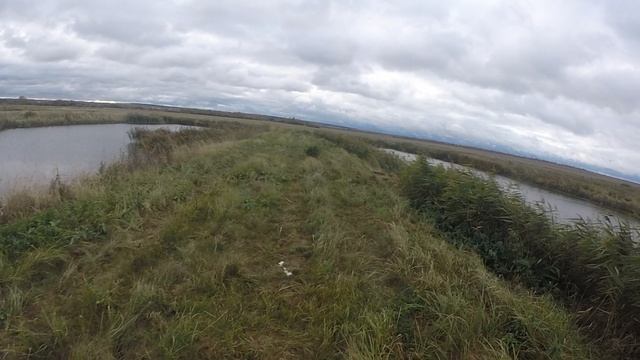 охота на бекаса смотреть онлайн