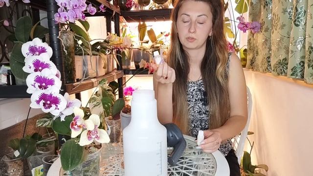 Фермер Тайваня раскрывает секреты как навсегда избавиться от клеща и любых насекомых на ОРХИДЕЯХ смотреть онлайн