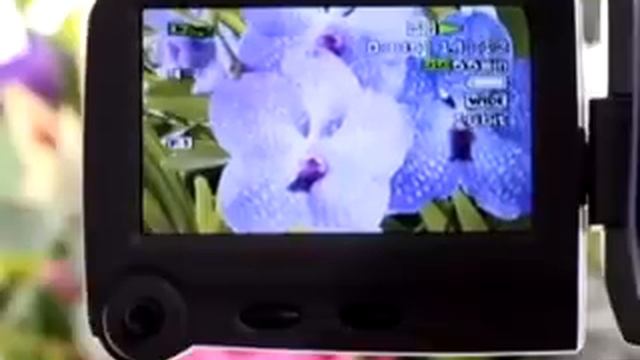 Canon MD101 Digital Mini DV Camcorder смотреть онлайн