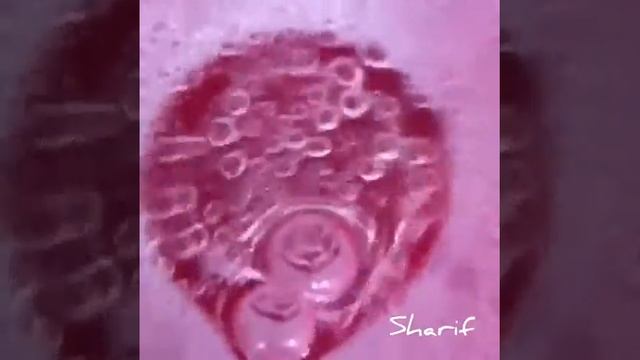 Bubbles up смотреть онлайн