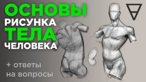 Основы рисунка тела человека. С чего начать изучение анатомии?