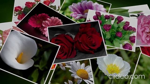 ???С Неба Падают Цветы Рассыпая Свет???