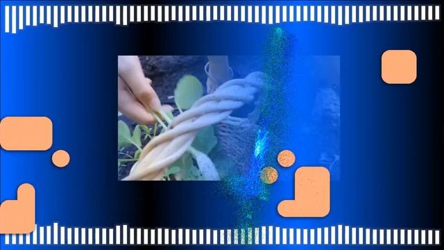 Audio Visualizer - a Python Qt app for making visualizations from audio files смотреть онлайн