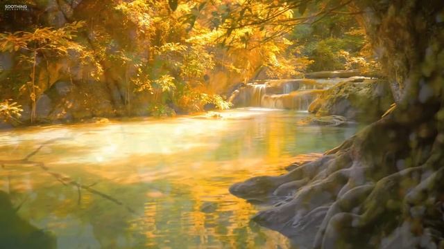 МЕДИТАЦИЯ ОТ ОБИД | освобождение от прошлого | ПРОЩЕНИЕ | партнёрство | БЛАГОДАРНОСТЬ смотреть онлайн