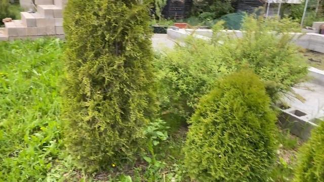 01.06.23. Вот уже и лето… смотреть онлайн