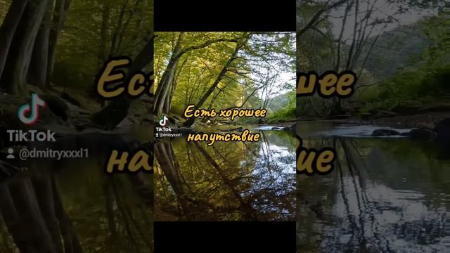 Сильный человек #саморазвитие #мудрость #смысл #жизнь #словасосмыслом #мудрыеслова #цитата #слова