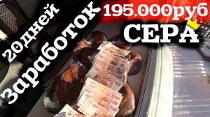 Сколько я зарабатываю в тайге на сборе СЕРЫ!