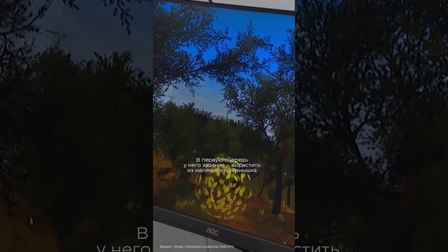 Виртуальная реальность восстановит легкие? «Лица науки»: выпуск 30 | Автор: ВолгГТУ смотреть онлайн