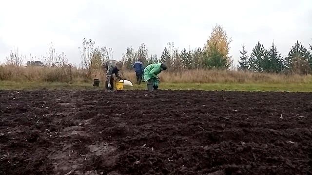 Посадка чеснока под зиму смотреть онлайн