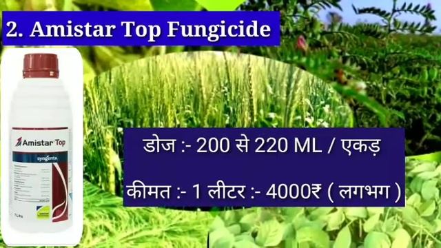 Syngenta के चार शक्तिशाली फंगीसाइड || Score, Amistar top, Taspa, Folio gold fungicide смотреть онлайн