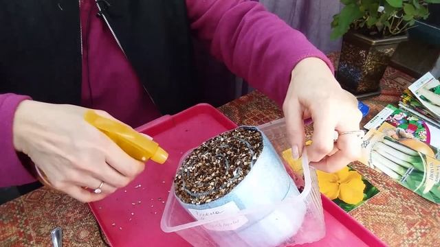 Рассада в улитках от А до Я. смотреть онлайн