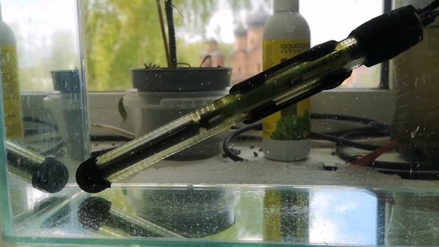 ПРИОБРЕЛ КУЛЬТУРУ ДАФНИИ. НАЧИНАЮ РАЗВОДИТЬ. смотреть онлайн