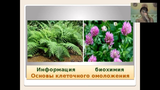 Ольга ЛЕВОНЮК Факторы старения! Как им противостоять! смотреть онлайн