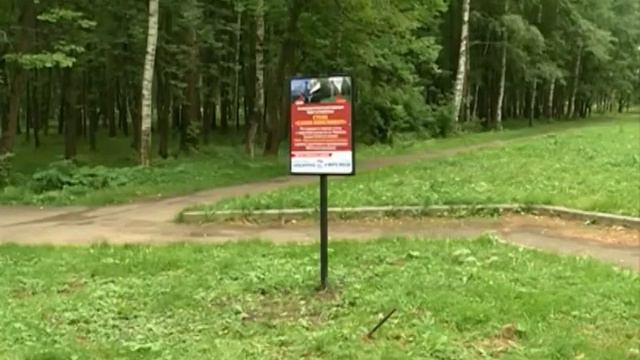 На Липовой горе нижний ярус парка Победы реконструируют смотреть онлайн