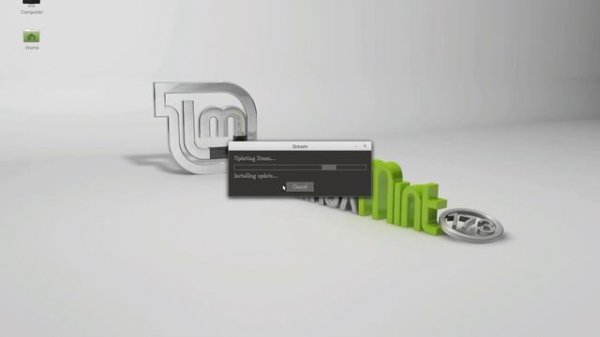 Linux Mint   Install Steam
