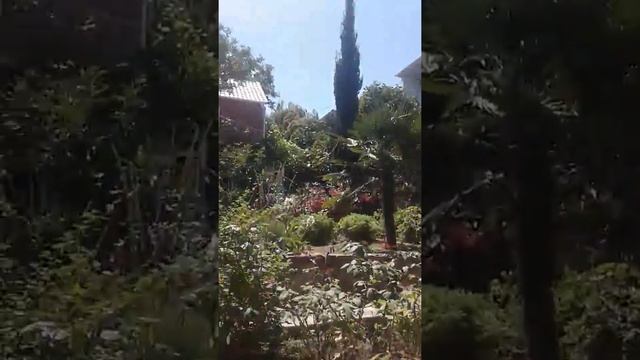 Отель "Дача у моря" в малореченском. смотреть онлайн