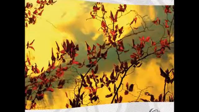 Kick Bong - Something Better (Chill Out) смотреть онлайн