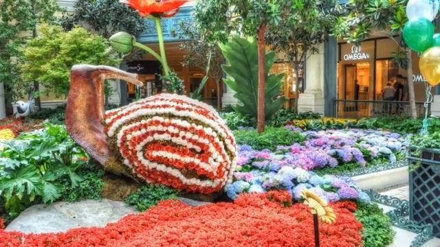 Красивые клумбы улитки смотреть онлайн