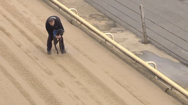 Greyhound 2023 17.04.2023 Trial 1 смотреть онлайн