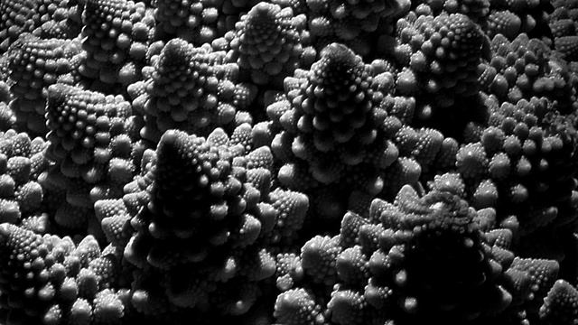 Romanesco Broccoli смотреть онлайн