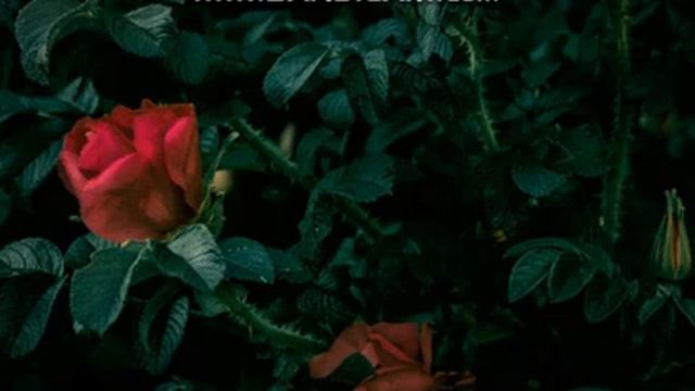 バックナンバー/ヒロイン/Cover　(Ozone 9 Elements・・AI・Mastering) смотреть онлайн