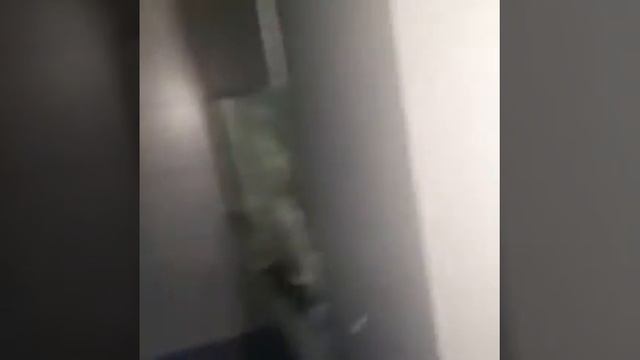 Рыба приведение смотреть онлайн