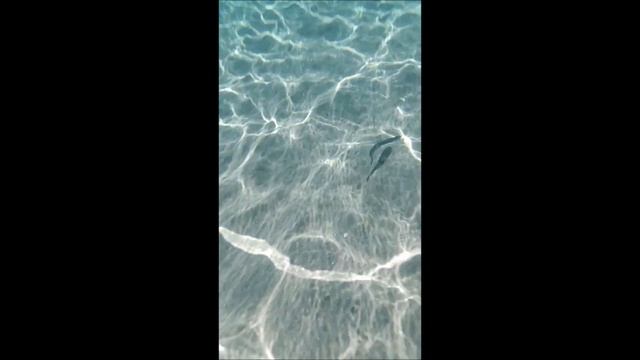 Spiaggia La Pelosa, Stintino, Sardegna смотреть онлайн