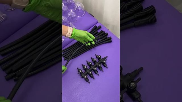 Аппарат BIO-301. Подключение и инструкция по эксплуатации смотреть онлайн
