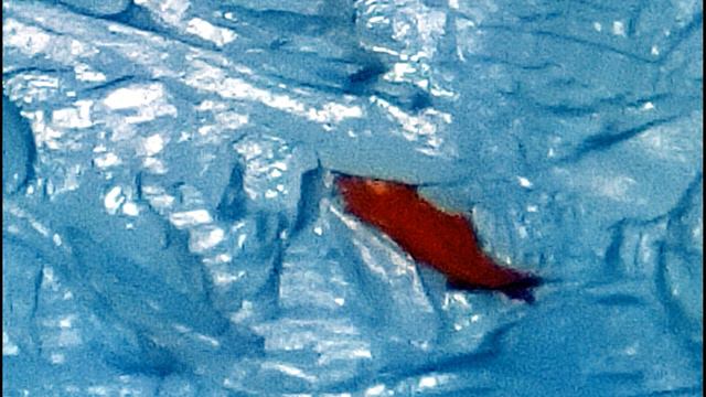 Meditation / Fish in ocean / Tonogogyca смотреть онлайн