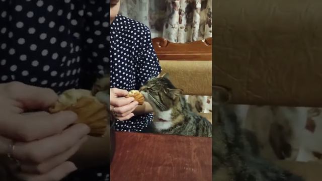 Голод не тётка смотреть онлайн