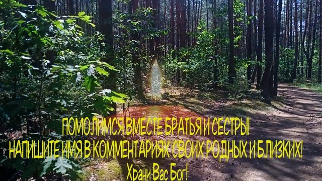 ПРОЧТИ СКОРЕЕ ИНАЧЕ ЖДИ БЕДЫ! смотреть онлайн