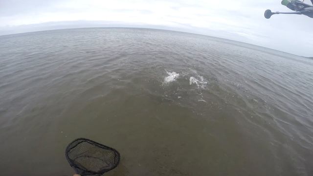 Не ожидал такого клева! Кунджа, таймень, да еще и горбуша! смотреть онлайн