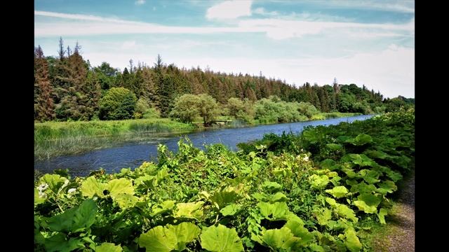 Navan River Boyne+Canal  IRELAND