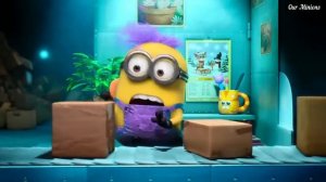 Minions works in Mail Room - Our minions