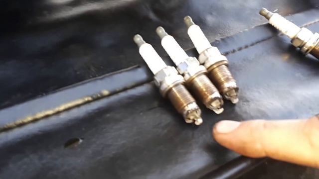 Диагностика масложора смотреть онлайн