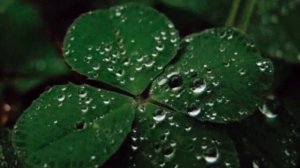 МАГНИТ ДЛЯ УДАЧИ/ЛЮБИМЧИК ФОРТУНЫ/МОЩНЫЙ САБЛИМИНАЛ НА ВЕЗЕНИЕ/СКРЫТЫЕ АФФИРМАЦИИ