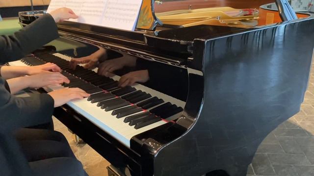 Klavierduo/P.Tchaikovsky:The Sleeping Beauty (ballet), Op.66 смотреть онлайн
