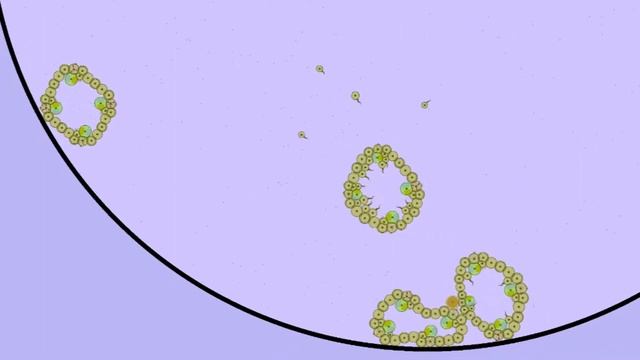 Amoeboid - by C4pung - credits Megathosto, Proguy, bwisialo смотреть онлайн