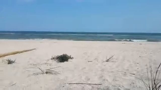 Поездка на море дикарем, жизнь в палатке с грудничком, ребенком 5 месяцев. смотреть онлайн