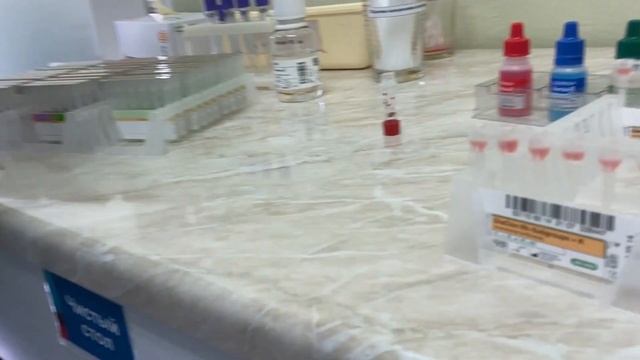 Определение Группы крови с помощью DG GEL смотреть онлайн