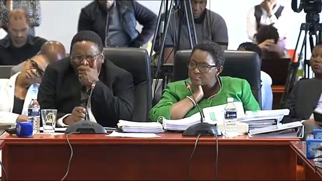 Bathabile Dlamini social grant crisis inquiry 24 Jan 2018 Part 2 смотреть онлайн