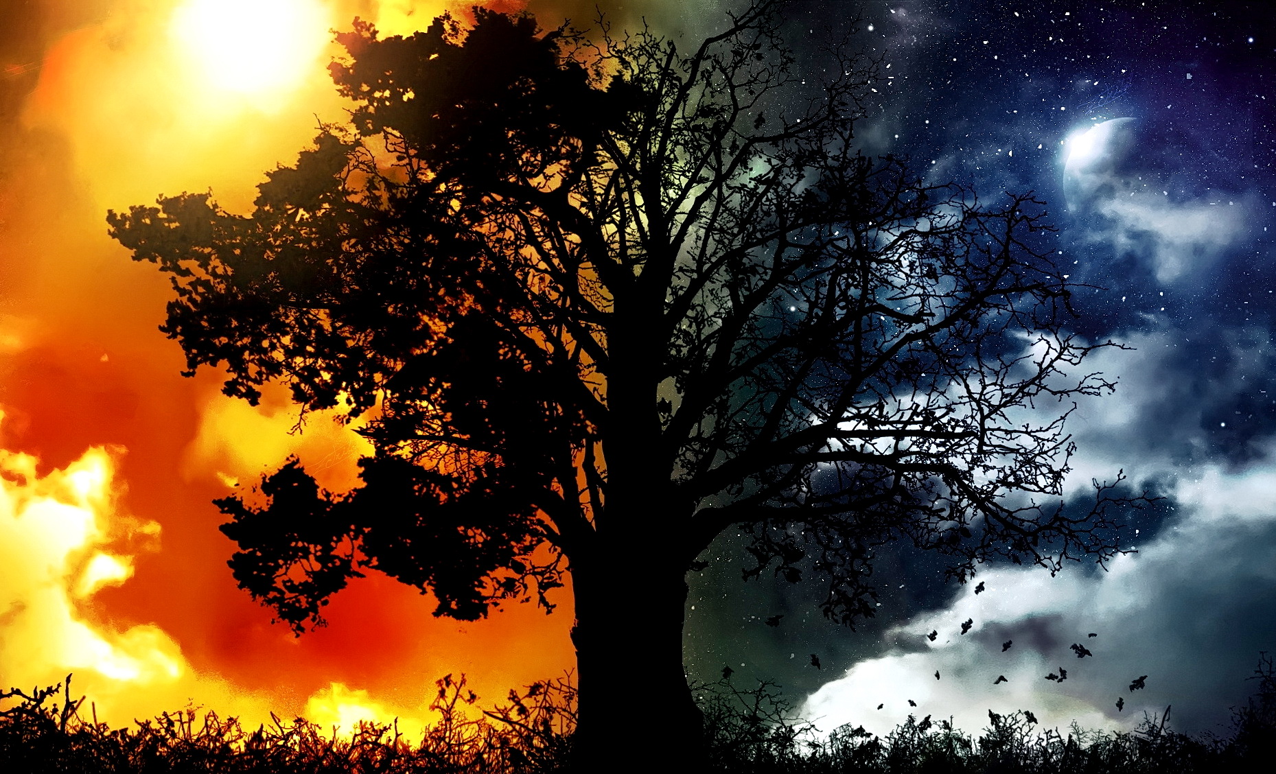 Противоположности