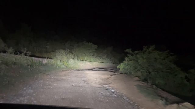 Scary Drive through the Notorious Haunted Forest at Night 1 смотреть онлайн