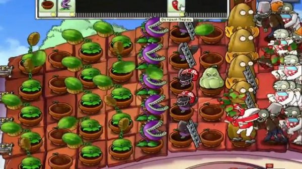 ПОЛУЧЕНИЕ ЗОЛОТОГО ПОДСОЛНУХА | #1 PvZ | Getting Gold Sunflower