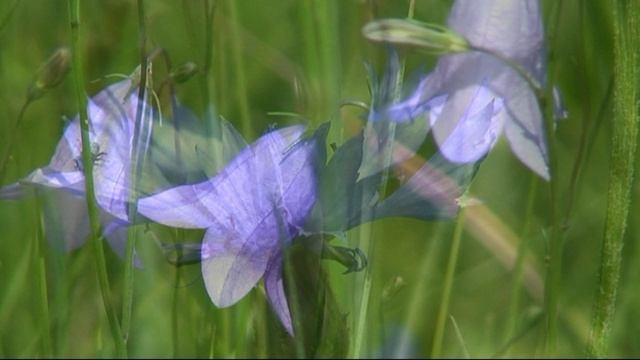 Окрестности Епифани