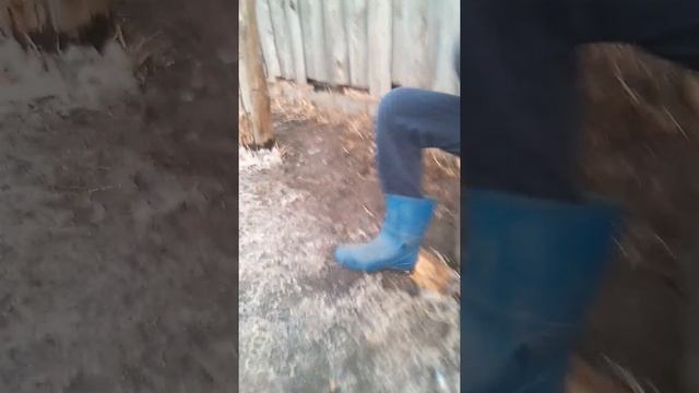 Пью яйца крутяк смотреть онлайн