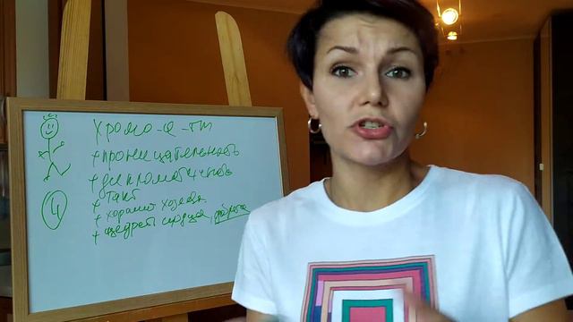 Зеленый 🥑 Хромо- Q - тип смотреть онлайн