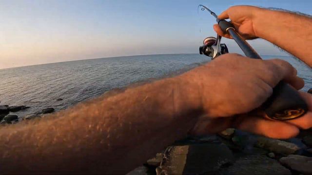 Попытка половить морского хищника Бердянск Азовское море 02 09 2023 смотреть онлайн