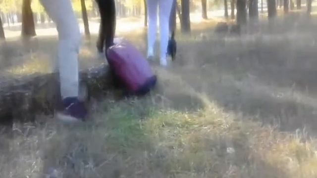 Приключения Собаки Лаки #1 смотреть онлайн