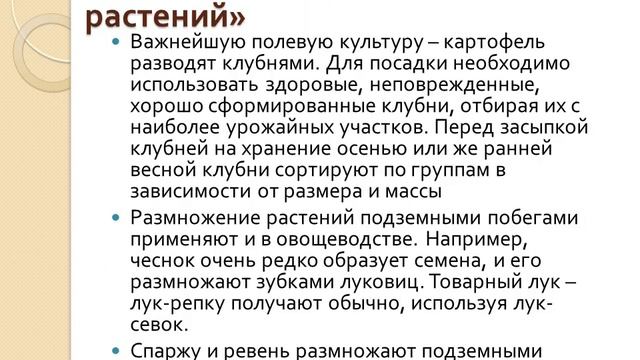 5 класс Вегетативное размножение растений смотреть онлайн